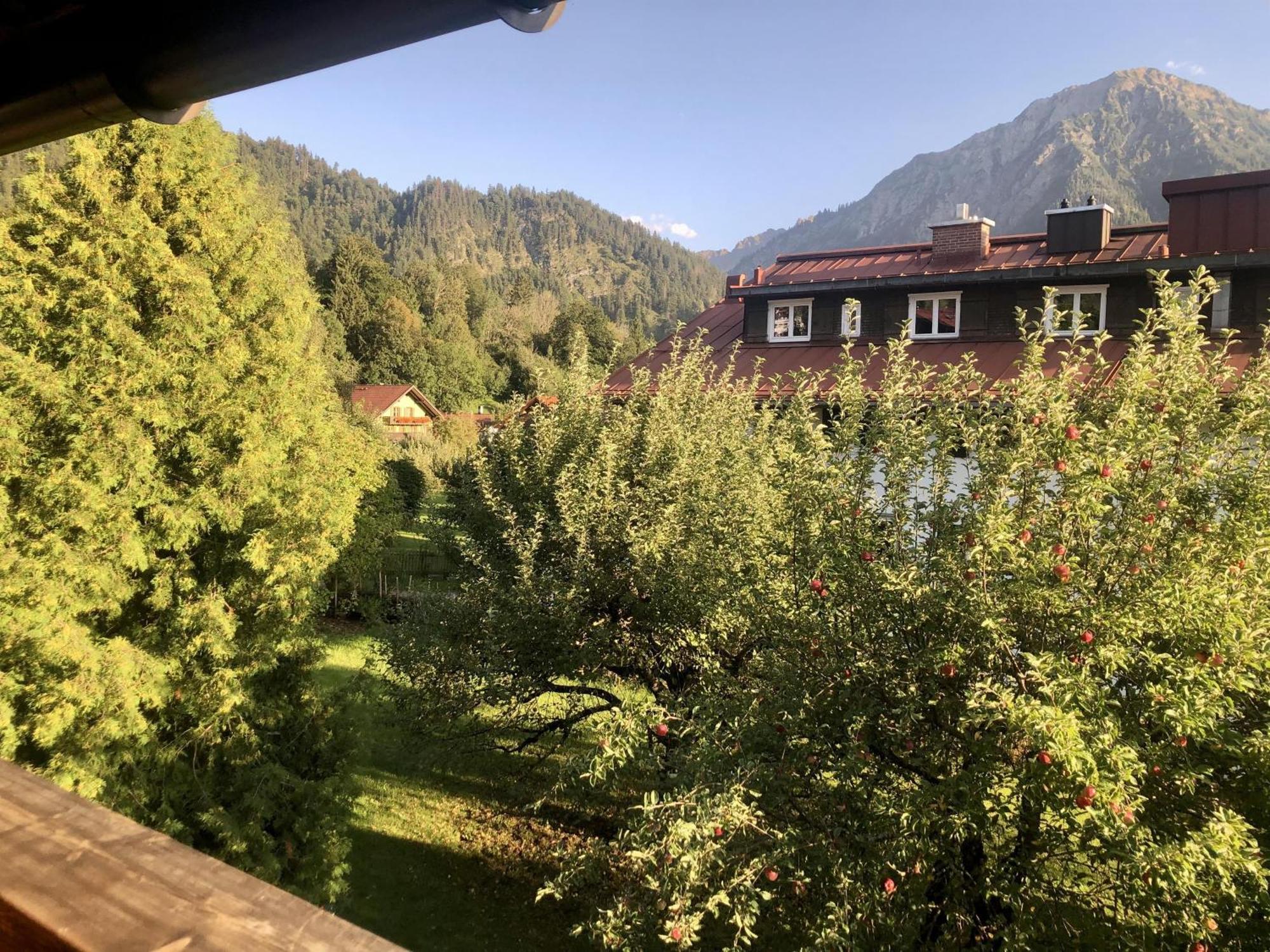 Haus Huber Apartment Bad Hindelang Exterior photo